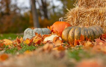 Сонце та заморозки: погода в Україні 27 жовтня