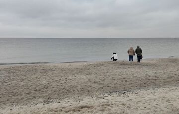 В Одессе начали готовить пляжи к лету В Одессе начали готовить пляжи к лету