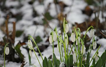 Погода на вихідних: прогноз синоптиків для України
