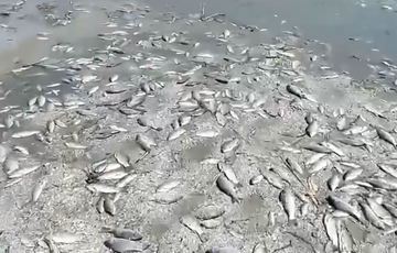 В Минздраве предупредили об угрозе распространения опасной болезни из-за подрыва Каховской ГЭС