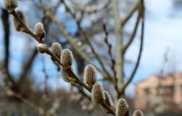 Прогноз погоди в Україні: коли чекати похолодання