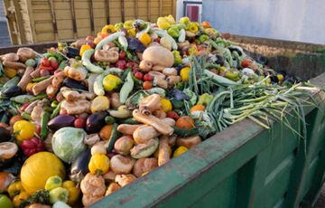 У 2022 домогосподарства щодня викидали понад 1 млрд порцій їжі, тоді як 783 млн людей голодували У 2022 домогосподарства щодня викидали понад 1 млрд порцій їжі, тоді як 783 млн людей голодували