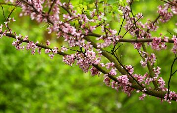 Прогноз для України: де пройдуть сильні дощі