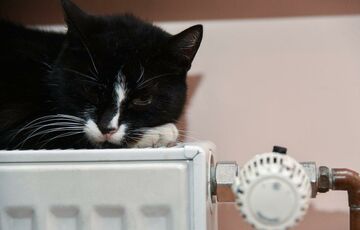 В Україні похолодає: прогноз синоптиків на п'ятницю