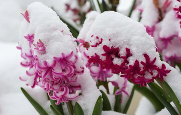 В Украину идет похолодание с дождями, штормовым ветром и даже мокрым снегом