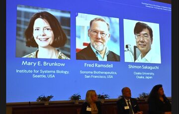 Нобелевский комитет не смог связаться с лауреатом, ведь тот ушел в путешествие вдали от цивилизации