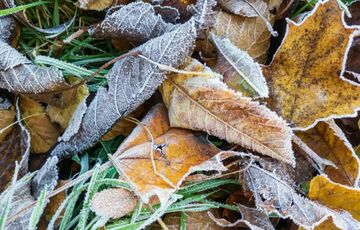 В Україну йде похолодання: синоптик назвала дату заморозків