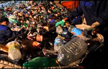 На ВДНХ в Киеве разобьют огород и начнут принимать мусор на переработку