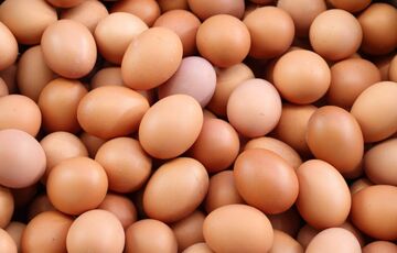 Яйця в Україні дорожчають шаленими темпами: що буде у грудні