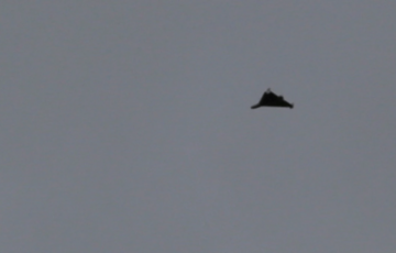 Росія покриває дрони карбоном і перефарбовує в чорний колір - так їх важче збити