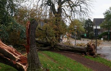 Жертвой сильного шторма в Бельгии стал пятилетний мальчик из Украины  