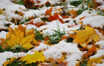Прогноз погоди: де очікується сніг