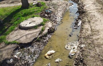В Мариуполе выявили случаи холеры среди детей В Мариуполе выявили случаи холеры среди детей