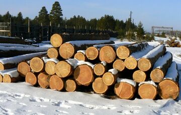 Україна може зняти мораторій на ліс-кругляк для ЄС після створення прозорого внутрішнього ринку - торгпред Україна може зняти мораторій на ліс-кругляк для ЄС після створення прозорого внутрішнього ринку - торгпред
