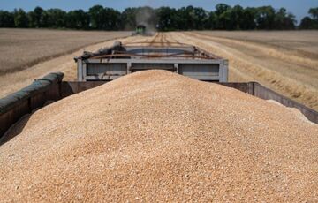 Украине не удалось отправить аграрную продукцию в Эфиопию в связи с выходом РФ из зернового соглашения 