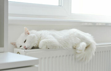 В Кабмине пообещали начать отопительный сезон вовремя