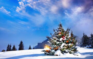 Синоптик рассказал, ожидать ли Украине снега в новогоднюю ночь 