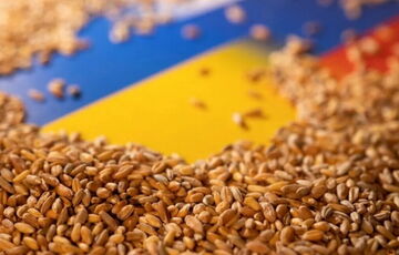 Україна призупинила новий зерновий коридор Україна призупинила новий зерновий коридор