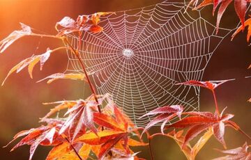 Климатологи сделали неожиданный прогноз погоды в Украине на сентябрь