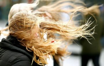 Киевлян предупредили о значительном усилении ветра