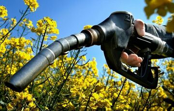 Рада ввела норматив - обязательное использование не менее 5% биотоплива в автобензине