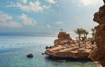 В Египте акула убила россиянина, - ВИДЕО В Египте акула убила россиянина, - ВИДЕО