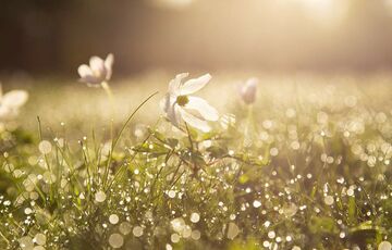 Спека і зливи: прогноз погоди на суботу