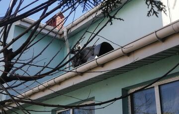 Россия нанесла удар по Одесской области: ПВО сбила ракеты, но поврежден детский сад (фото, видео)