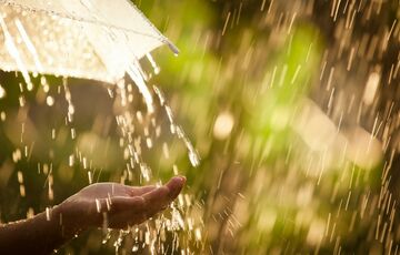 Погода в Україні: де сьогодні очікуються дощі