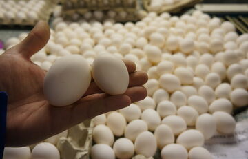 Производство яиц сокращается, что приводит к росту цены