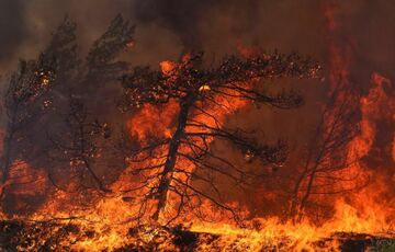 Лесные пожары: Греция занимает первое место по площади выгоревших территорий в Европе