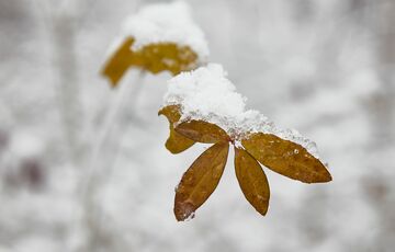 Прогноз погоди: яким буде перший день зими