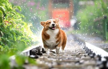 Прогноз погоди: де трохи ослабне спека