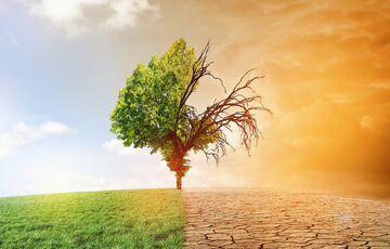 К 2100 году почти половина планеты войдет в новые климатические зоны