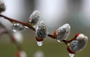 Готуємо парасольки: прогноз погоди в Україні