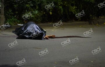 Опубликовано видео расстрела Евгения Понырко в Кривом Роге Опубликовано видео расстрела Евгения Понырко в Кривом Роге