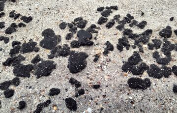 Мазут с российских танкеров дошел до побережья Одесской области