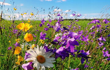 Температура опускається: прогноз погоди в Україні