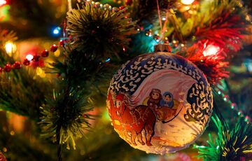 Жива або штучна: яку ялинку краще вибрати на Новий рік Жива або штучна: яку ялинку краще вибрати на Новий рік