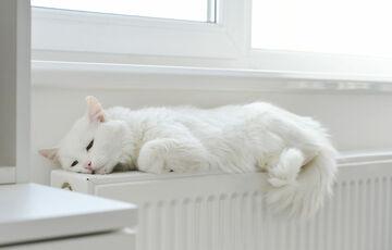 Что будет с тарифами на отопление и горячую воду зимой