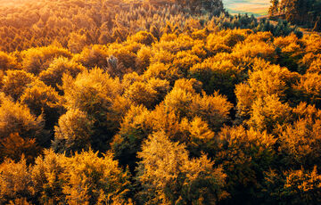 В Україні похолодає ще більше: прогноз Українського гідрометцентру