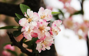Синоптик предупредила о похолодании в мае
