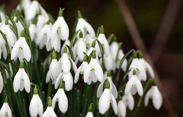 Попередження синоптиків: в Україні знову зіпсується погода