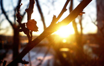 Весна в лютому: прогноз погоди в Україні