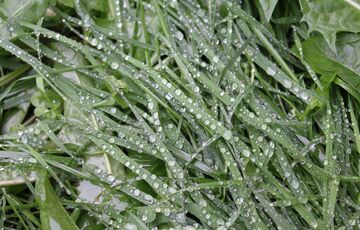 Попередження синоптиків: тиждень в Україні почнеться з дощів