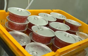 В России похвастались, что Уиткофф привез Трампу ящик красной икры из России