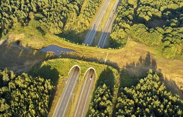 Можуть собі дозволити: в США з'явився перший міст для диких тварин, - ВІДЕО