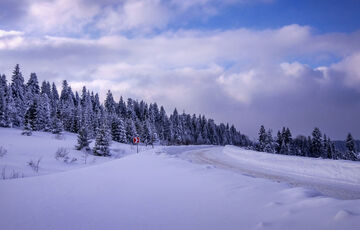Прогноз погоди: хто опиниться в полоні снігопадів