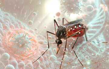 В Киеве от лихорадки Западного Нила скончались три человека