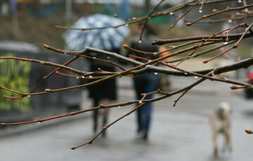 Погода в Україні: де тиждень почнеться з дощів